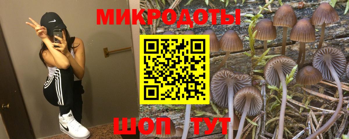 Галлюциногенные грибы Psilocybine cubensis Усолье-Сибирское
