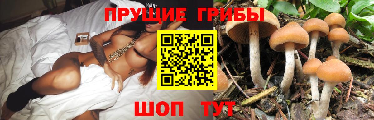 Усолье-Сибирское  Галлюциногенные грибы GOLDEN TEACHER  Вход с VPN 